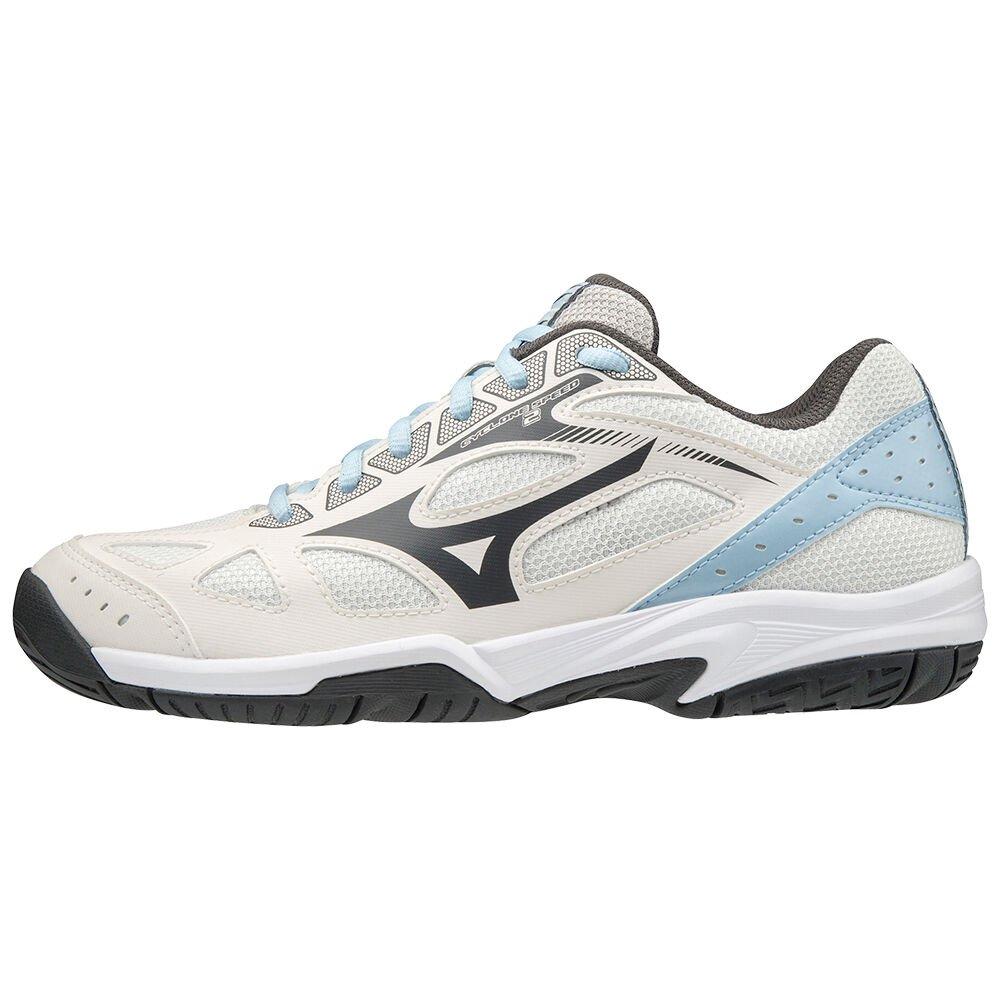 Mizuno Men's Volleyball Shoes Cyclone Speed 2 Grey - AWTSFHE-96